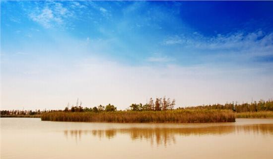 3377体育-声音乐团再度起《飞》 致敬梦想未忘初心(图1) 3377体育-声音乐团再度起《飞》 致敬梦想未忘初心(图1)