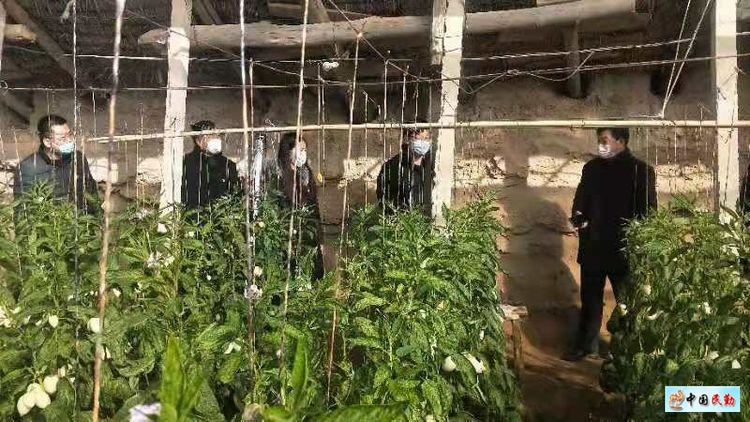 3377体育-“国民女儿”关晓彤新歌《安洁西公主》献成年礼 欲推出mini专辑打造青春无敌(图2) 3377官网