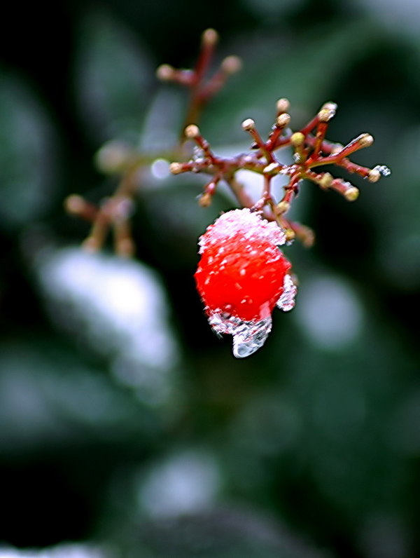 【3377体育】怀来县音乐人抗疫歌曲《值得》MV录制成功(图2) 【3377体育】怀来县音乐人抗疫歌曲《值得》MV录制成功(图2)