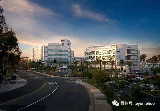 steam每日特惠:经营佳作《过山车之星》仅售30元_3377app(图1) 3377体育