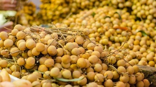 【3377体育】2012世界华商转型发展论坛11月25日盛大开幕(图1) 3377体育