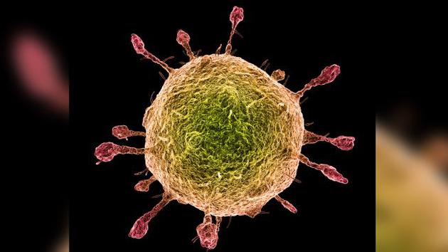 谷歌Stadia上线后更新频率太低遭玩家怒批‘3377官网’(图2) 3377体育