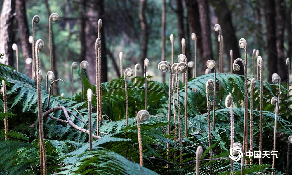 3377官网|《战神4》奎爷手办曝光 限量版奎爷父子手办即将发售(图2) 3377官网