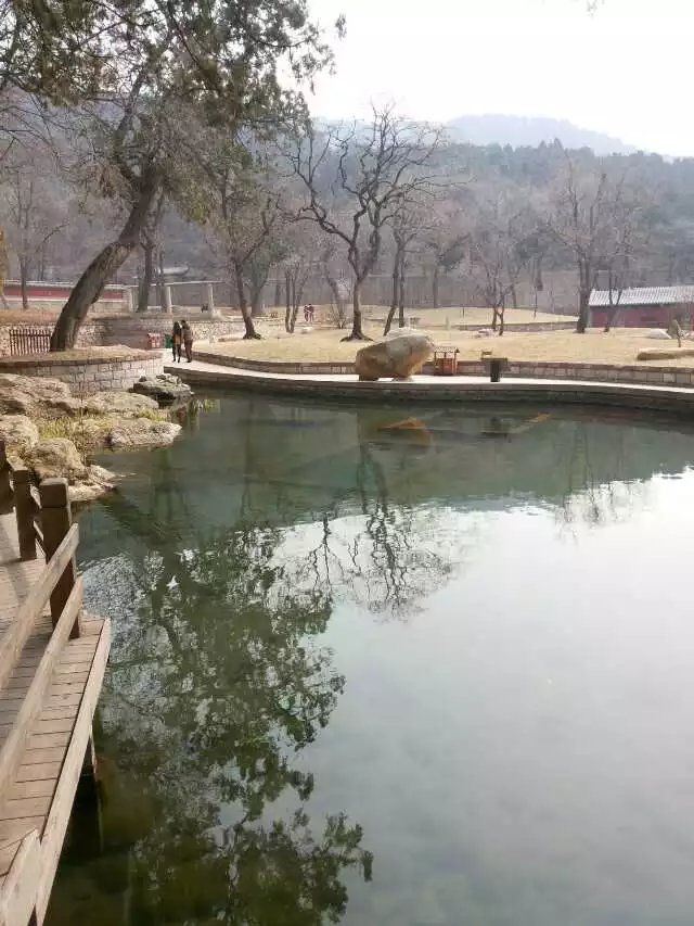 徐佳莹“心里学”新专辑巡演广州站 直播互动开启新玩法|3377官网(图1) 3377体育