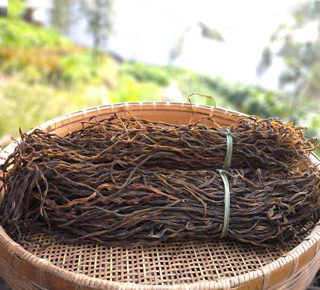 3377体育-《音乐大师课》师生“同唱一首歌”(图1)