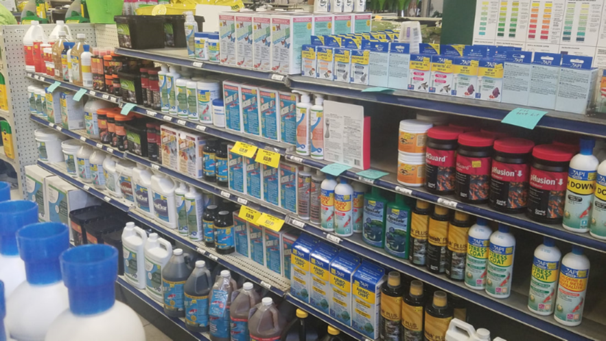 lol4.6周免英雄查询 英雄联盟4月6日免费英雄更换公告【3377app】(图2) lol4.6周免英雄查询 英雄联盟4月6日免费英雄更换公告【3377app】(图2)