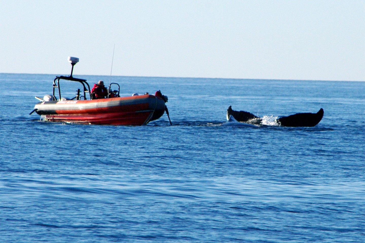 3377体育_花山瑶族乡召开2017年村“两委”换届工作培训会(图1) 3377官网