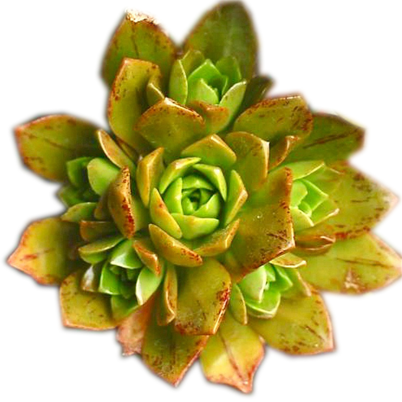 ‘3377体育’县环保局传达钟山镇7月份例会精神(图1)