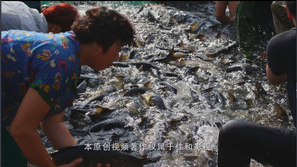 王源2019“源”演唱会南京开唱   极致舞台呈现真挚音乐_3377体育(图1)