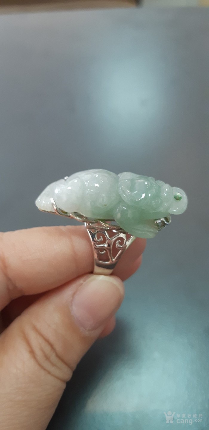 钟山县实验小学开展“中医文化进校园”活动-3377官网(图2) 钟山县实验小学开展“中医文化进校园”活动-3377官网(图2)