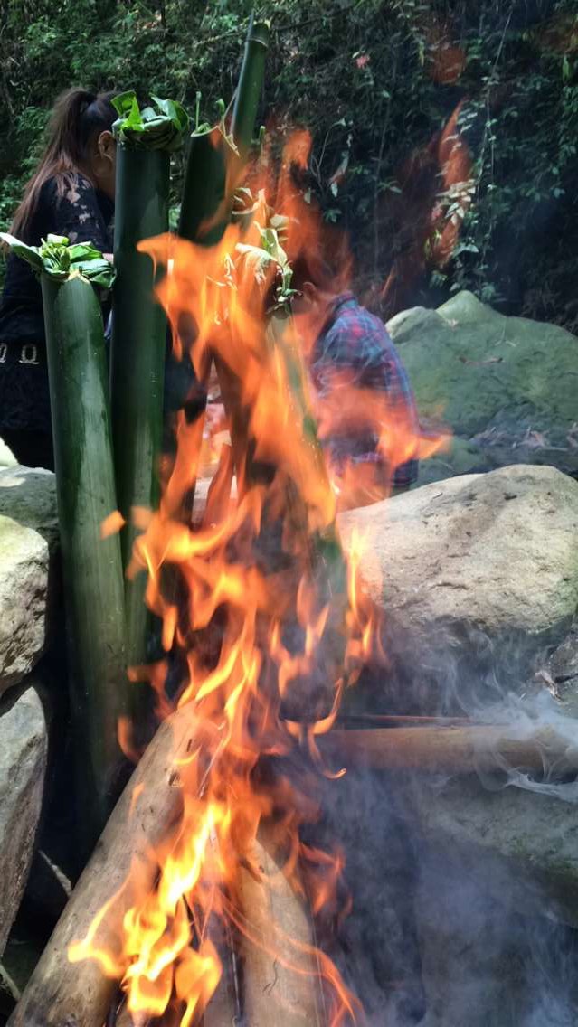 任天堂希望《宝可梦：剑/盾》能够长期贡献销量‘3377官网’(图4)