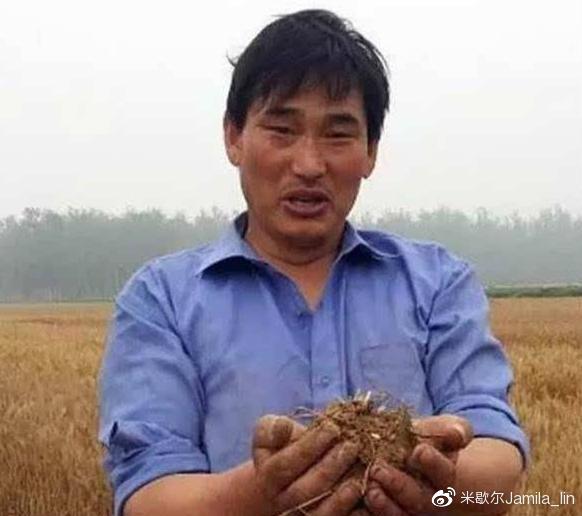 3377app：樊凡新歌MV曝光：我们是糖甜到哀伤(图1)