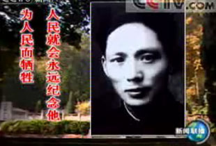 3377官网